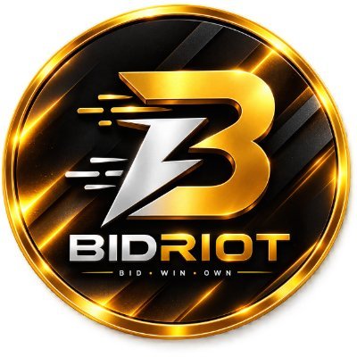 BidRiot profile picture